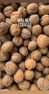 Ceviz