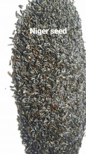 Niger Tohumu