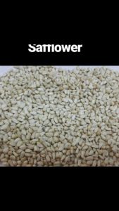 Safflower
